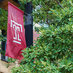 IOD (@IODTempleU) Twitter profile photo