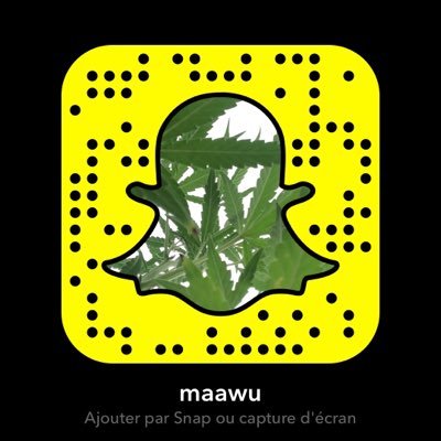 MawuliSxM's profile picture. 