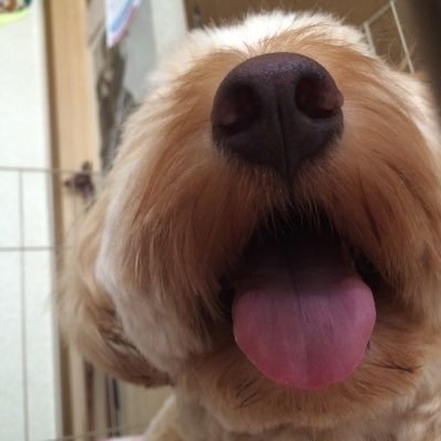 Hide51279557's profile picture. 配管と工具が好き