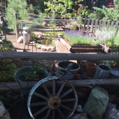 Top rated bed and breakfast on Yelp in Big Bear Lake, CA. Four seasons of hospitality.