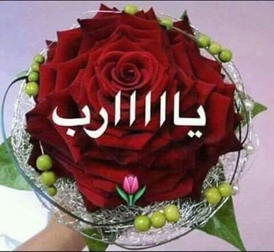 vc6nTaRO8SrcgBI's profile picture. ‏‏سبحان الله وبحمده 


سبحان الله العظيم