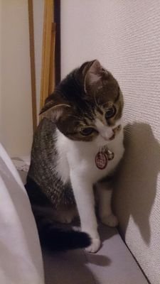 rkk3611's profile picture. tokyo/ 元hsp exo/bts/AAA/jr/k-pop   ドリフト連れて行ってもらうのも好きやな