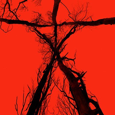 There’s something evil hiding in the woods… #BlairWitch returns September 16. Enter at @BlairWitchMovie.