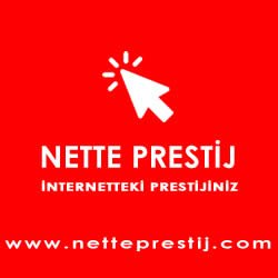 NettePrestij's profile picture. 