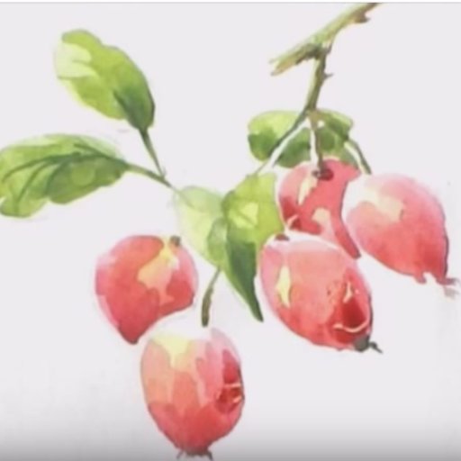 Newbie022's profile picture. 