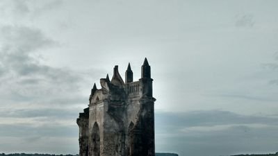 vimal_savi's profile picture. 12031986