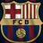 hsanalmalki2011's profile image