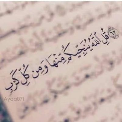 mohamedyehiasa4's profile picture. What was your first impression of me?
Sorry I do not have to suspend I know myself well