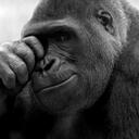 Will McCaffrey-Roots - @DubayooEyeElEl - Twitter