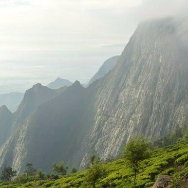 The World’s Highest Tea Plantation Kolukkumalai Tea Estate
#Travel #Yoga #Meditation #Consciousness #Adventure #Tourism #Hiking #Relaxation #Community
