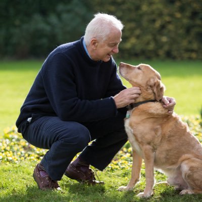 David Gower Profile