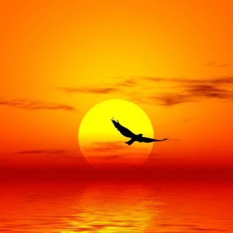 mitchell15100's profile picture. |Dol op weer en klimaat | Wil graag meteoroloog worden| Ma t/m Zo tweets over het weer.