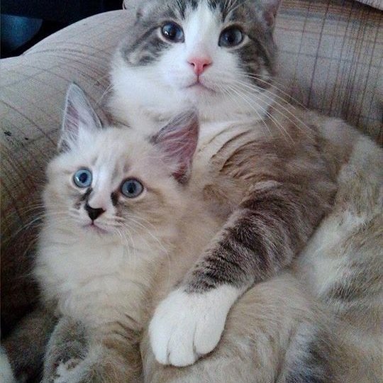 jolly321's profile picture. 