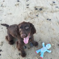 Jane Wisson (@janewisson) 's Twitter Profile