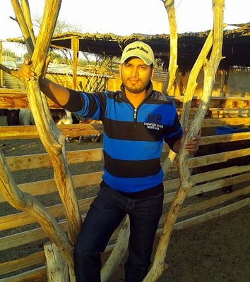 mohdfareed4's profile picture. 