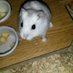 Foody007 (@foody0073) Twitter profile photo Foody007 (@foody0073) Twitter profile photo