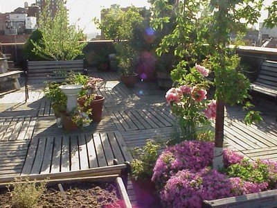 hqasem00's profile picture. انسان بسيط