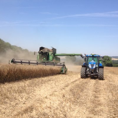 mrsarable's profile picture. Welsh girl married to an arable farmer in SE England. Lots of farm projects on the go! look after 2 small farmers and 1 big one.