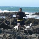 Ron Mancuso - @Ronsproperties - Twitter