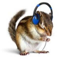 SwissChipmunk's profile picture. 