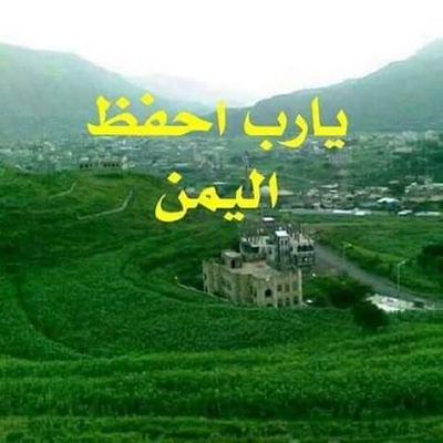 hCdRgHZWooIYudO's profile picture. 