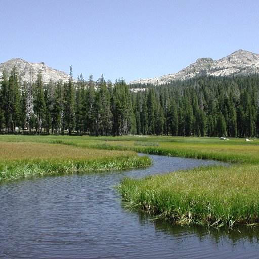 Jen2012J's profile picture. 