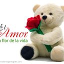 corazon (@0120Corazon) Twitter