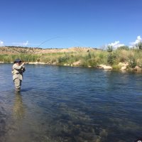 Greg Englehardt (@gregenglehardt) 's Twitter Profile