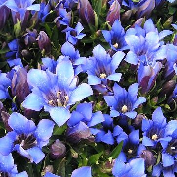 I tweet from Tokyo. Love, peace, nature, science, art, politics, economy, culture, spiritual religion, ecology, music, book, life design, history,japan,earth