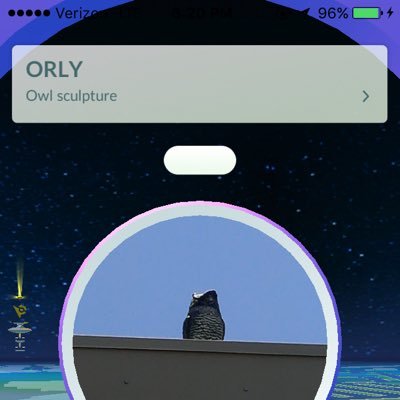 cnsnxkskckdook2's profile picture. Pokemon go ❤️❤️