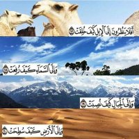 عسكر الكربي🇸🇦 (@_1254372698522) 's Twitter Profile