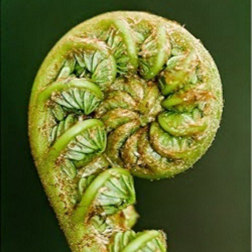 malparte65's profile picture. 