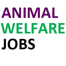 The Animal Welfare job and resume board serves job seekers and employers by connecting the animal professionals to the employers in the animal industry.