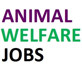 Animal Welfare Jobs (@AnimalWellJobs) / Twitter