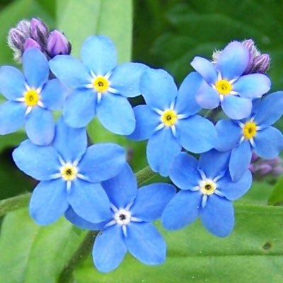 saori_freespace's profile picture. 北海道。2児の母。 好きな場所「黒と白のアトリエ」