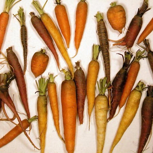 I am a food system and policy researcher aiming to improve agriculture, nutrition, and environmental policy.