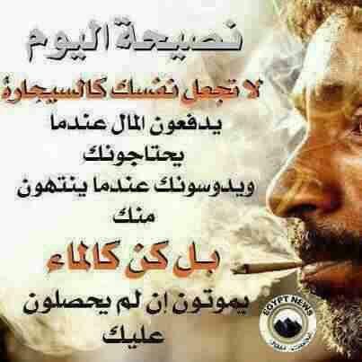 hJQqDoDozWCNcBT's profile picture. 