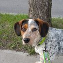 Mark Filippi - @TheMark64 - Twitter