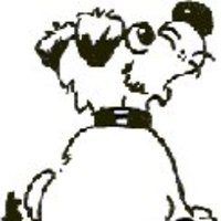 Hilbrae Dog Rescue (@hilbraesdogs) 's Twitter Profile