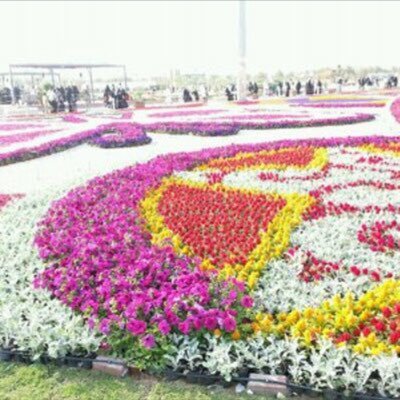 molhd1999921's profile picture. 