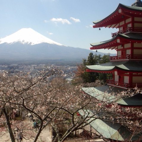 kkchi_tan's profile picture. 既婚。男。