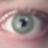 LexiLibrary's profile image