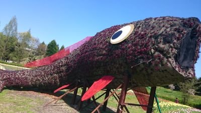 飯テロ　城メグラー　神社寺社遺跡メグラー　共感してくれる方よろしくどーぞ。