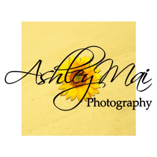 Photographer, Makeup Streamer