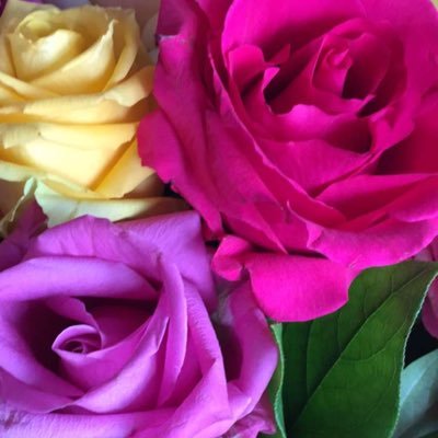 yfrxbjkddfcv's profile picture. 