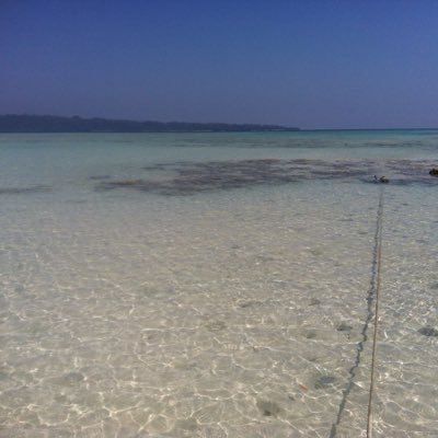 aneeshkhanna103's profile picture. 