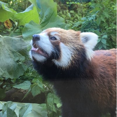 Ryo_2561's profile picture. 