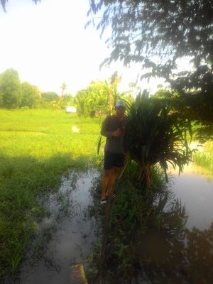 adityasaifulfi1's profile picture. 