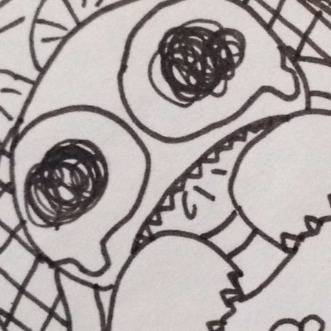 usage7916's profile picture. うさげは主にBUMP OF CHICKEN、MAN WITH A MISSION、10-FEETでできています。SPBV、エレカシ、ユニコーンと電大、ACIDMAN、テナー。スポーツ色々。バレー、柔道、フィギュアは特別。V🏐JTEKT🐝。B🏀千葉ジェッツ🐘✈️。デチ友🐿️。J⚽️清水🍊。芝居は松嶋屋。