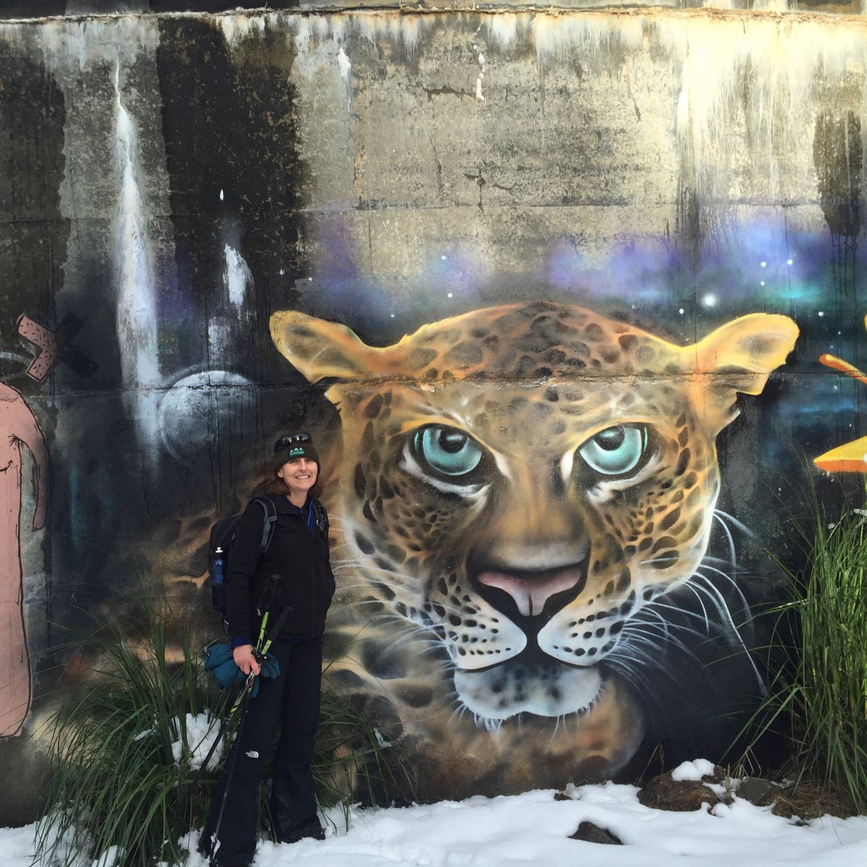 ocelotte's profile picture. 